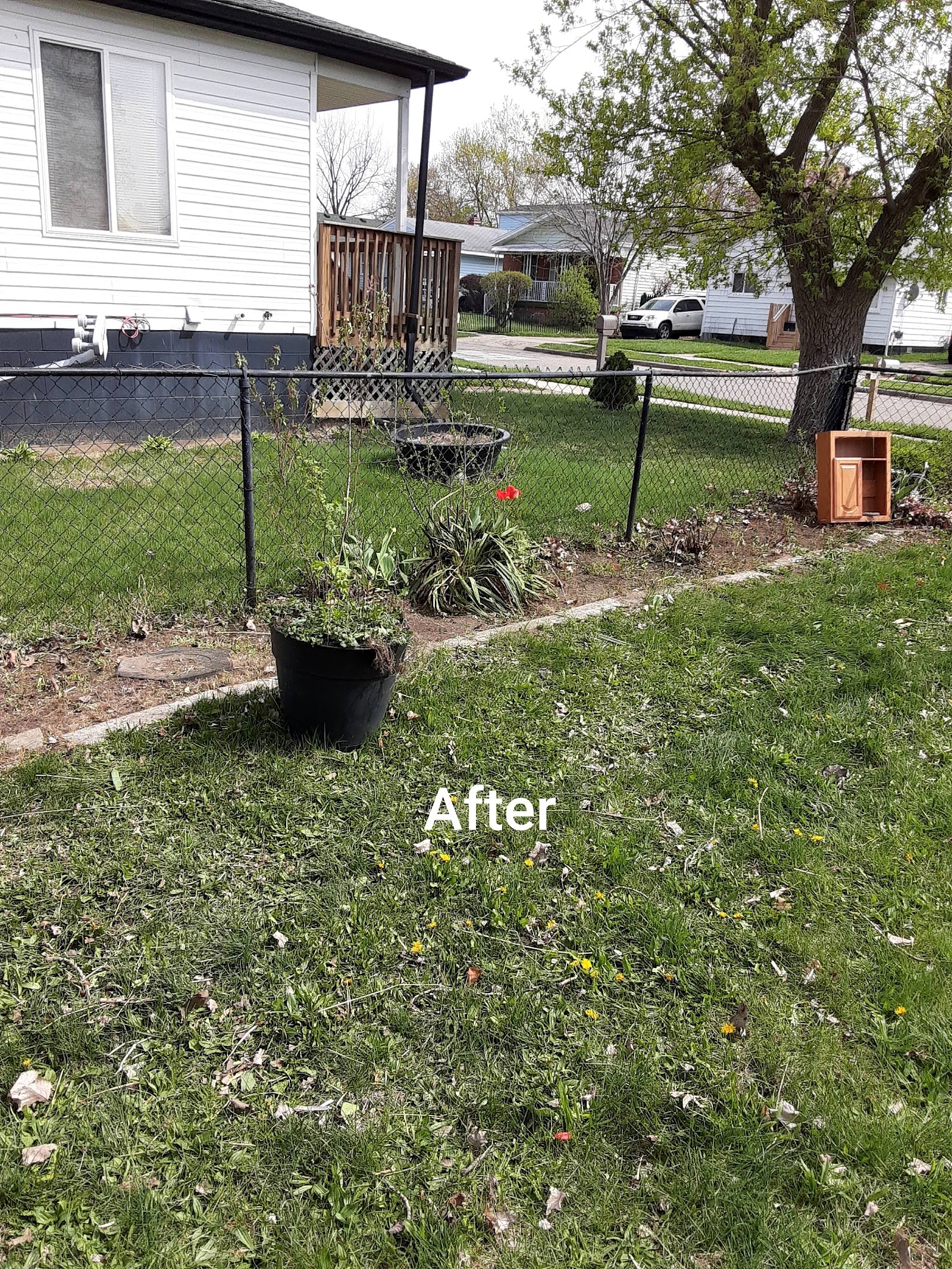 A&M Lawn Maintenance LLC — photo