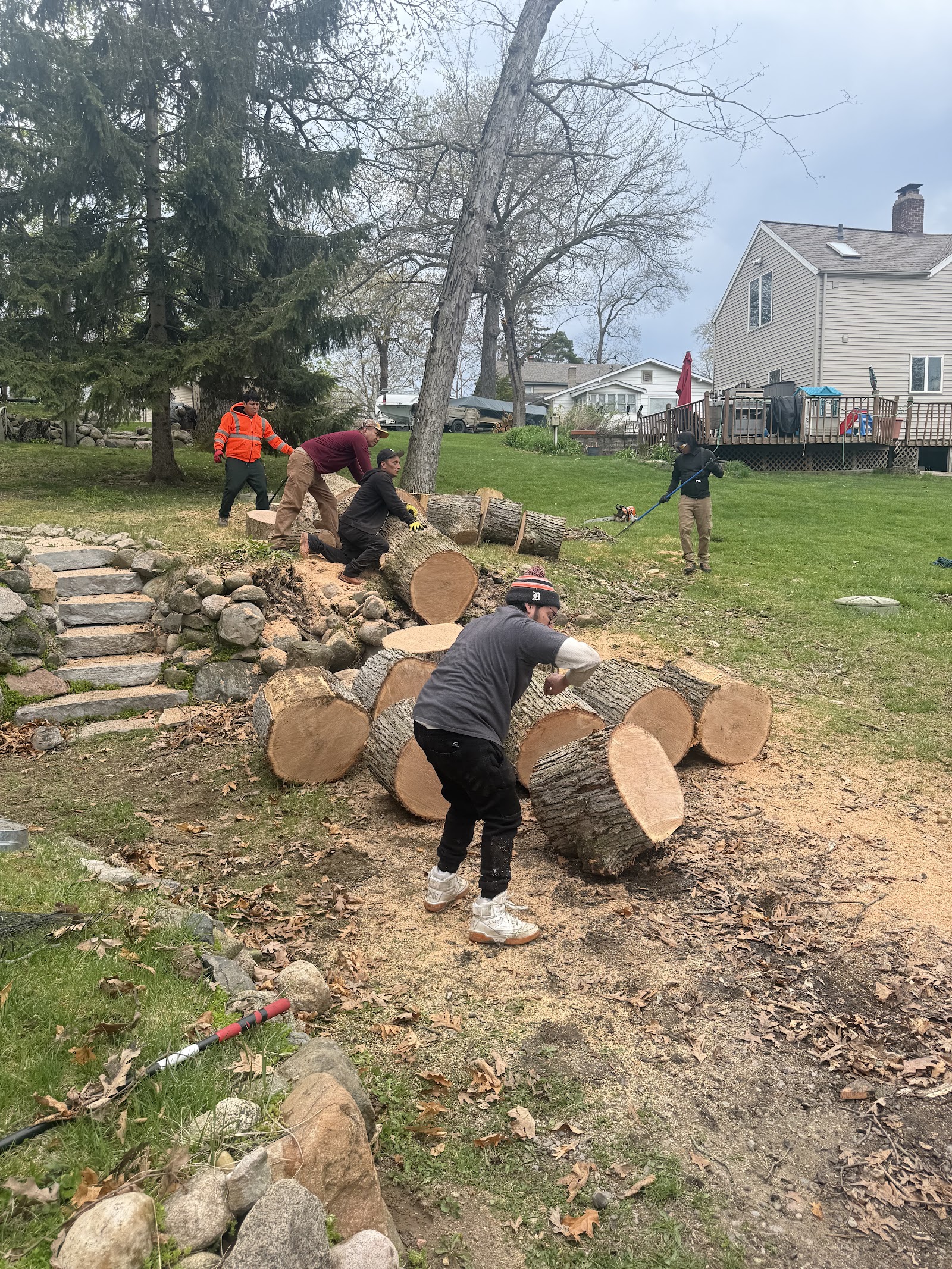 D&Y Tree Service (LINDA) — photo