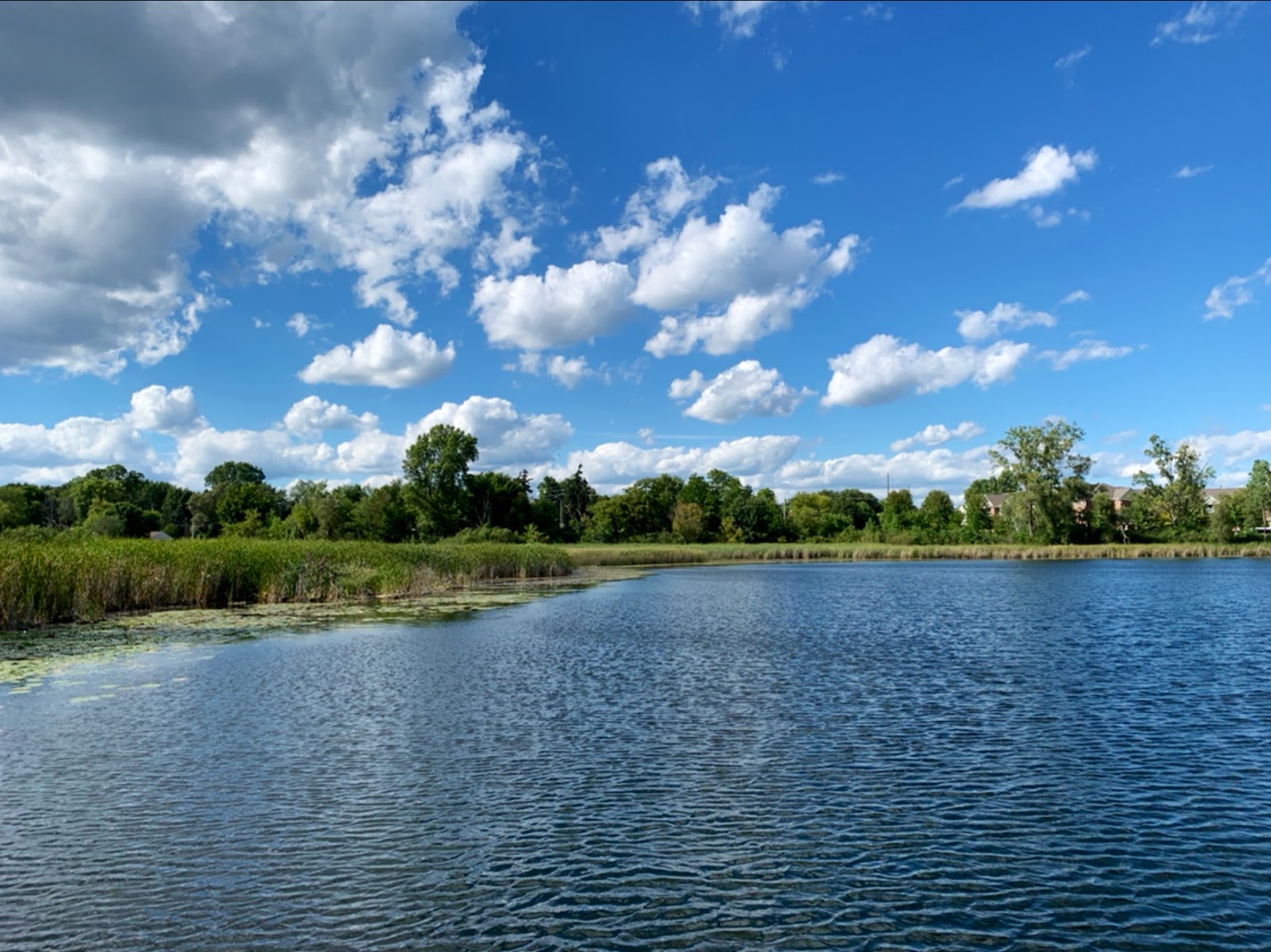 Pontiac Oaks Park in Pontiac